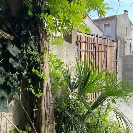 A Pied En Bord Du Canal Du Midi T2 Cosy Avec Jardin Proche Gare Et Hopital *