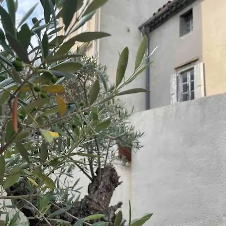 A Pied En Bord Du Canal Du Midi T2 Cosy Avec Jardin Proche Gare Et Hopital * Castelnaudary