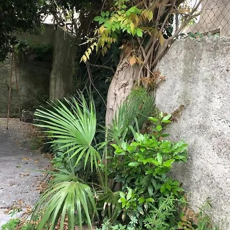 Apartment A Pied En Bord Du Canal Du Midi T2 Cosy Avec Jardin Proche Gare Et Hopital Castelnaudary