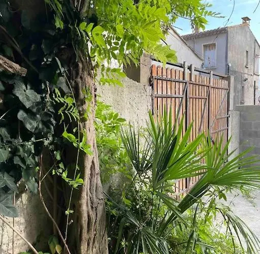 Vivez A Pied, T2 Cosy Avec Jardin, Proche Gare Et Canal Du Midi *