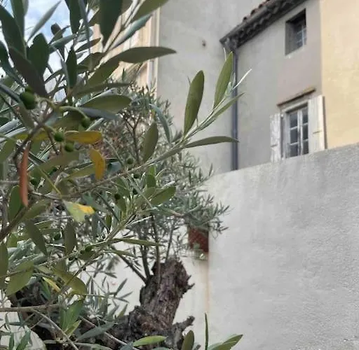 Vivez A Pied, T2 Cosy Avec Jardin, Proche Gare Et Canal Du Midi * كاستيلنوداري