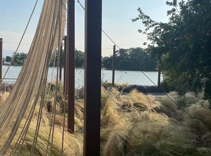 Vivez A Pied, T2 Cosy Avec Jardin, Proche Gare Et Canal Du Midi *