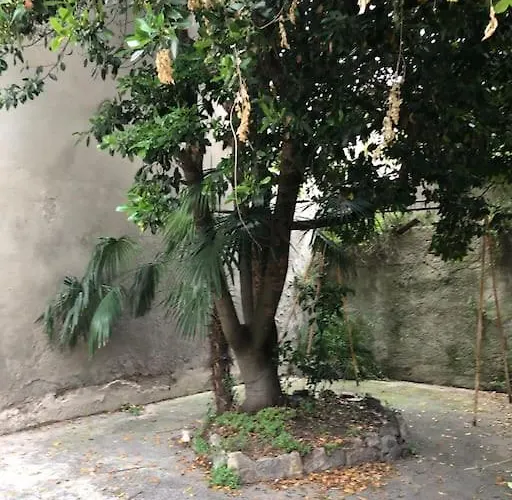 Vivez A Pied, T2 Cosy Avec Jardin, Proche Gare Et Canal Du Midi شقة كاستيلنوداري