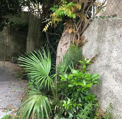 شقة Vivez A Pied, T2 Cosy Avec Jardin, Proche Gare Et Canal Du Midi كاستيلنوداري