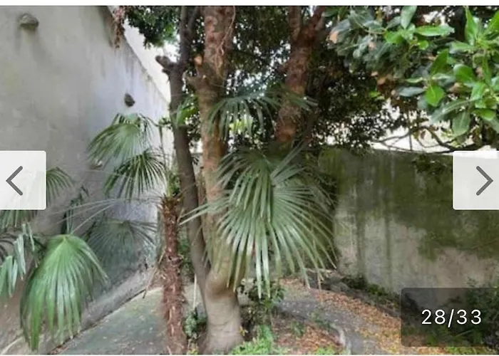 Vivez A Pied, T2 Cosy Avec Jardin, Proche Gare Et Canal Du Midi شقة *